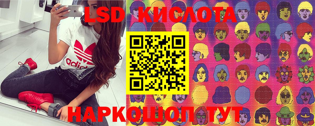 Сланцы  Марки NBOMe  Вход с VPN  Марки NBOMe 1500мкг 